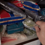 Sorty 360° Rotating Food Dispenser (6-Grid)